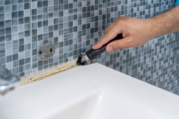 Best Insurance-Related Mold Remediation in Clarkston Heights Vineland, WA
